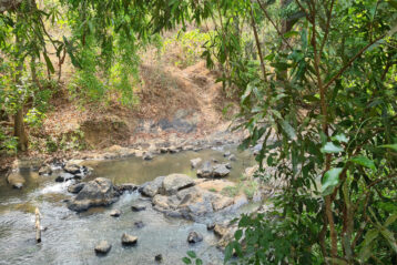 Bamboo Machan Tree House Bandipur Masinagudi