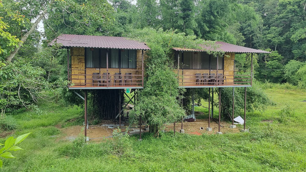 experience-staying-in-a-tree-house-at-bandipur-mudumalai-deep-jungle-home