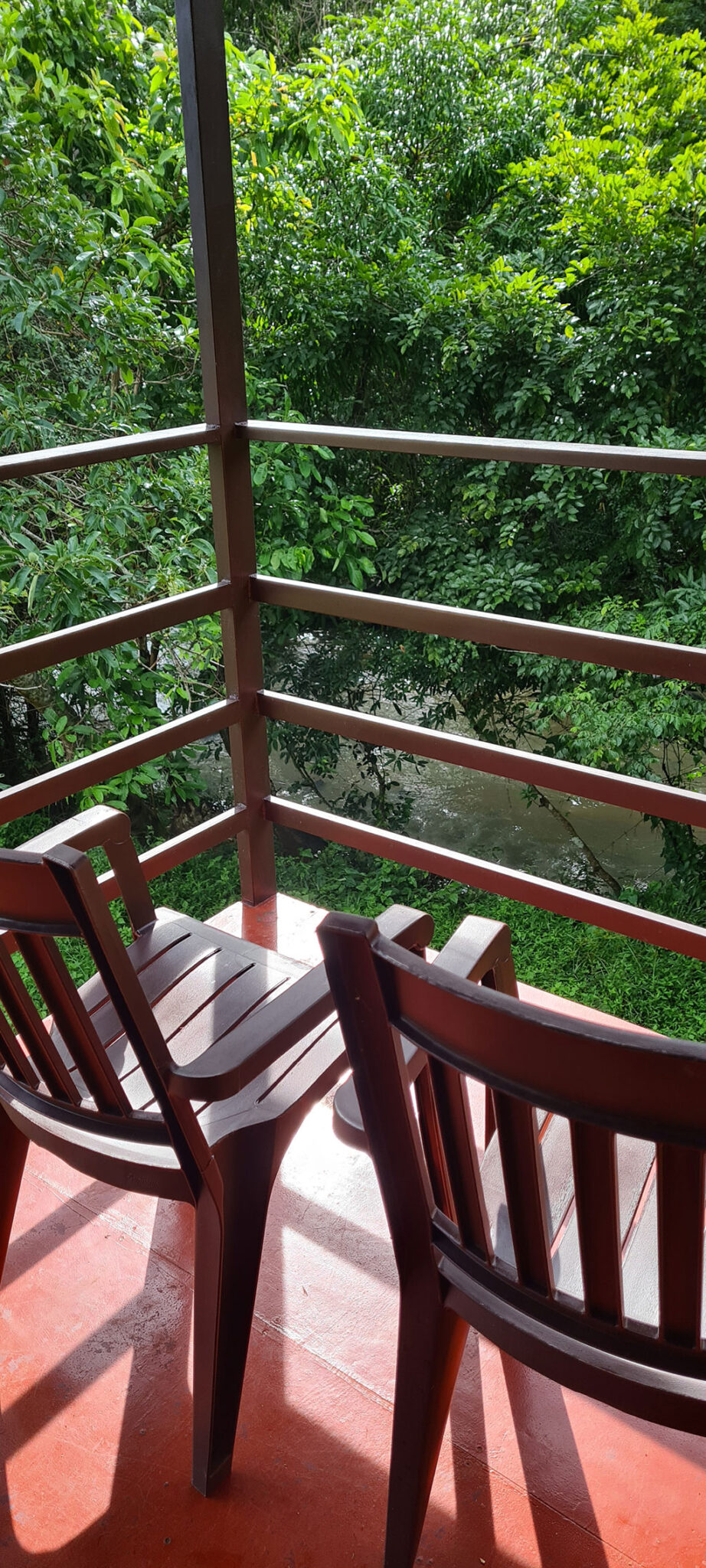 Experience Staying in a Tree House at Bandipur Mudumalai | Deep Jungle Home